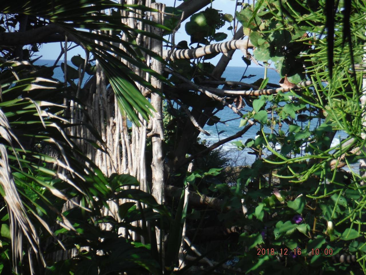 Kudehya Guesthouse Treasure Beach Exterior foto